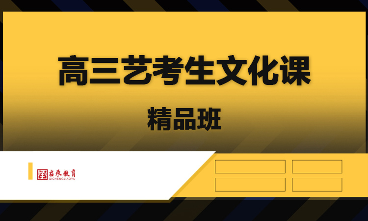 高三艺考生文化课精品班